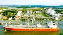 PV GAS TRADING cán mốc doanh thu một tỷ USD trong 6 tháng đầu năm 2024