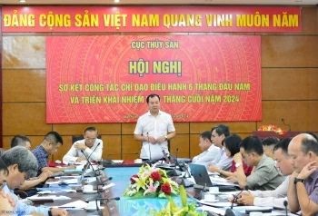 Xuất khẩu tôm khó cán đích 4 tỷ USD năm 2024