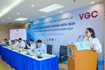 Bà Trần Thị Minh Loan làm Phó Tổng giám đốc Viglacera