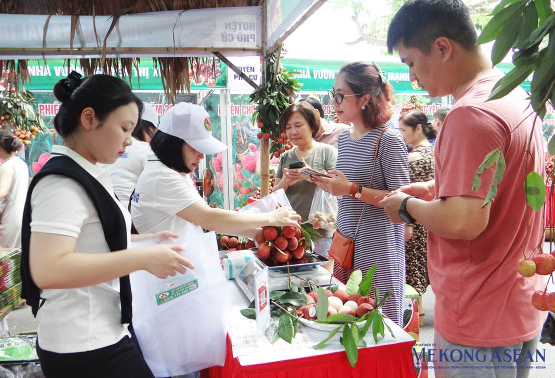 Đến nay, tổng diện tích vải toàn huyện Phù Cừ (Hưng Yên) đạt khoảng 1.200 ha, gồm vải lai chín sớm Phù Cừ (diện tích trồng 850 ha) và vải trứng Hưng Yên (diện tích trồng 350 ha) được sản xuất theo quy trình VietGAP. Trong ảnh: Sản phẩm vải trứng Hưng Yên, vải lai chín sớm Phù Cừ được trưng bày, bán tại Khu đô thị Ecopark Văn Giang.