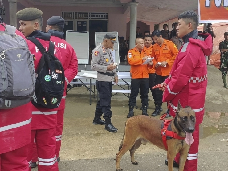 17 người thiệt mạng do sạt lở đất tại mỏ vàng Indonesia