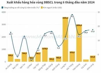 ĐBSCL xuất siêu 6,6 tỷ USD hàng hóa trong nửa đầu năm 2024