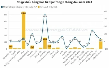 Việt Nam nhập khẩu mặt hàng gì nhiều nhất từ Nga?