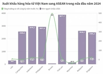 Thương mại Việt Nam – ASEAN tăng gần 12% trong nửa đầu năm 2024