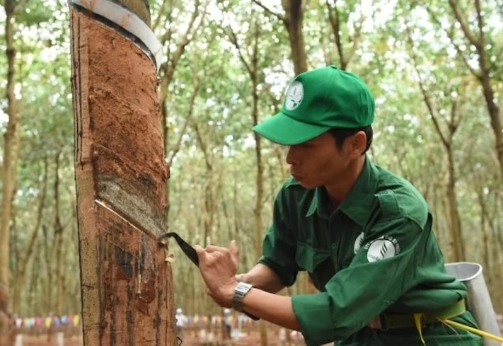 Thêm nhiều doanh nghiệp công bố lợi nhuận quý 2, vui buồn trái ngược