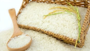 Hơn 700.000 tấn gạo được Việt Nam xuất sang Indonesia trong nửa đầu năm 2024