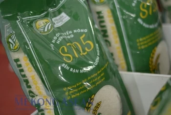Philippines có thể nhập tới 4,5 triệu tấn gạo trong năm 2024