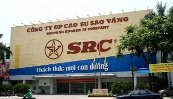 Thu nhập khác tăng đột biến, Cao su Sao Vàng lãi ròng quý 2 cao gấp 18 lần