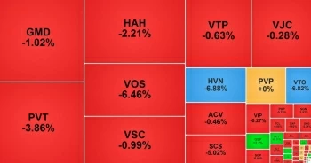 Loạt cổ phiếu giảm sâu phiên đầu tuần, HVN tiếp tục 'hạ cánh' gấp