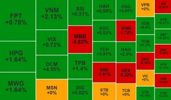 HVN 'cất cánh' trở lại, HBC và HNG chất sàn sau tin bị hủy niêm yết