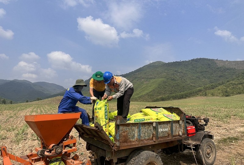 NPK Phú Mỹ gắn kết 'Đất màu mỡ - Mía ngọt ngào'