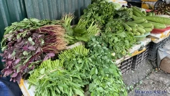 Hà Nội: Ảnh hưởng mưa lớn, rau xanh tăng giá