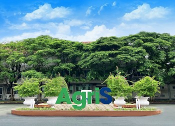 TTC AgriS vượt kế hoạch lợi nhuận năm dù phải gánh lãi vay lớn