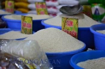 Những mặt hàng xuất khẩu tiềm năng của Việt Nam sang Timor Leste