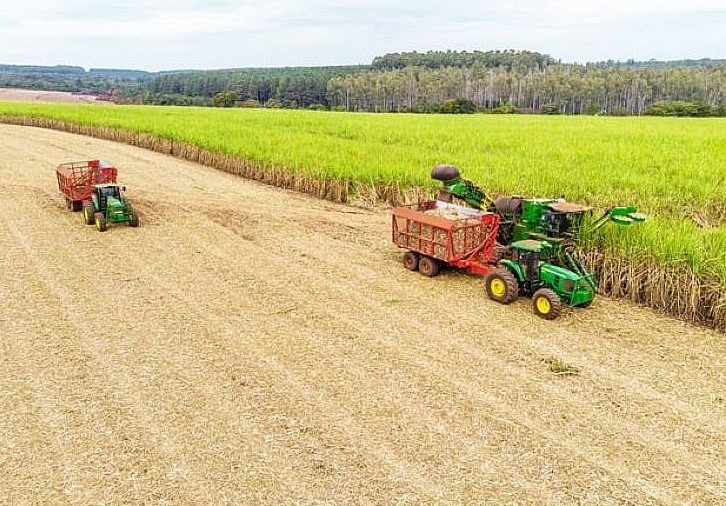 TTC AgriS: Tân chủ tịch bán xong 70 triệu cổ phiếu, quỹ ngoại gia tăng sở hữu