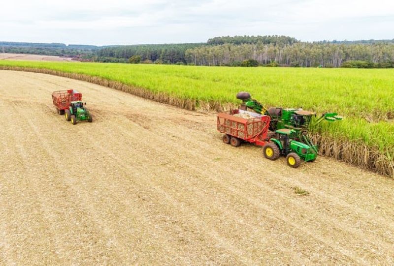 TTC AgriS: Tân chủ tịch bán xong 70 triệu cổ phiếu, quỹ ngoại gia tăng sở hữu