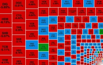 VN-Index 'rơi' gần 50 điểm, hàng trăm mã giảm sàn