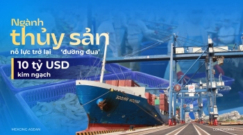 Ngành thủy sản nỗ lực trở lại ‘đường đua’ 10 tỷ USD