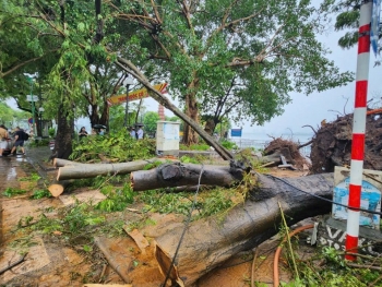 ASEAN sẵn sàng đóng góp cho các nỗ lực cứu trợ sau bão Yagi