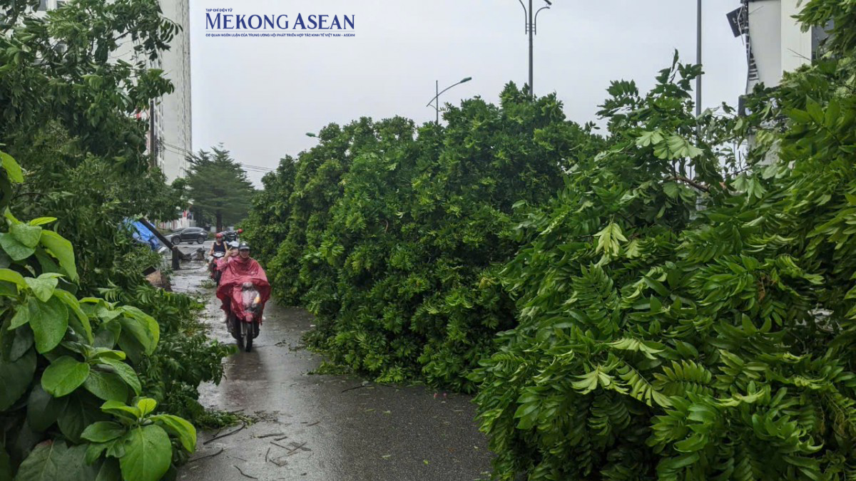 Hà Nội: Cảnh tan hoang sau siêu bão Yagi