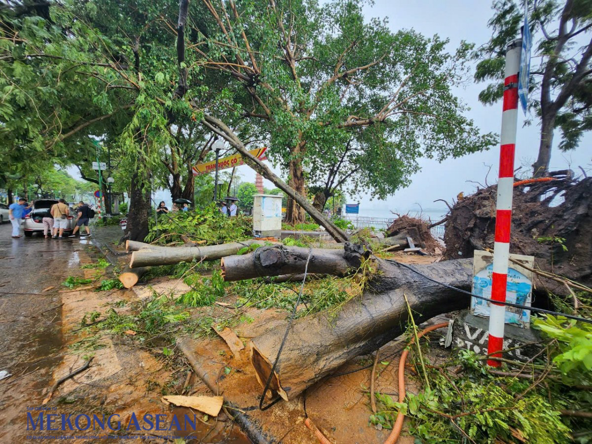 Đường phố Hà Nội tan hoang sau siêu bão Yagi