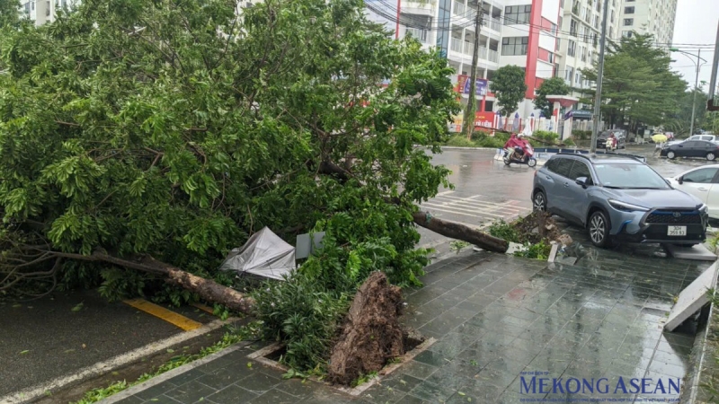 Theo ghi nhận của Mekong ASEAN, cây đổ, đường dây điện rơi…khiến nhiều tuyến đường của Hà Nội trở nên ngổn ngang, tan hoang sau nhiều giờ siêu bão Yagi càn quét.