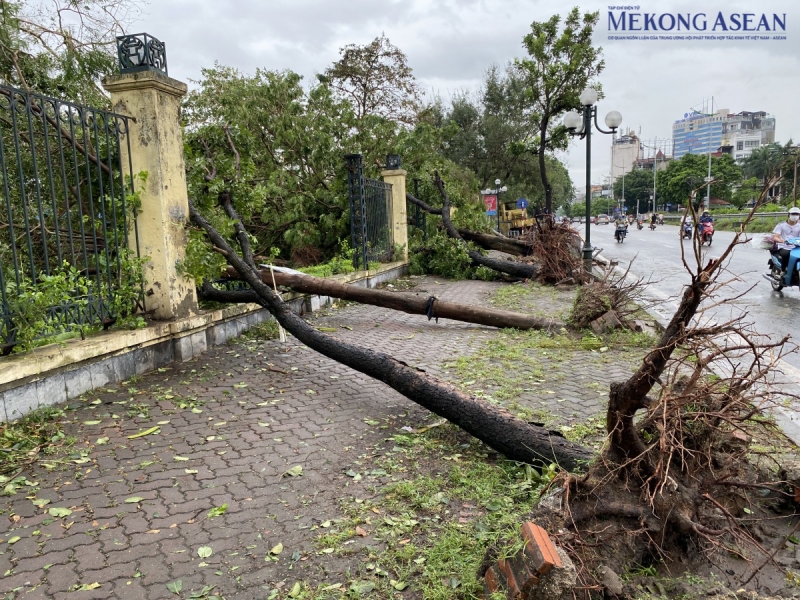 Loạt cây xanh trên phố Lê Duẩn (quận Đống Đa, Hà Nội) đổ khiến hàng rào của công viên Thống Nhất hư hỏng nặng nề. Ảnh: Hà Anh/Mekong ASEAN.