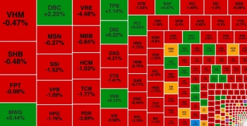 VN-Index giảm mạnh, cổ phiếu chăn nuôi tiếp tục 'hút tiền'