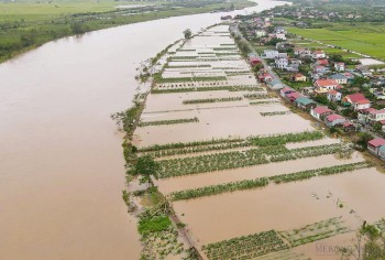 Hải Dương phát lệnh báo động 2 trên sông Luộc