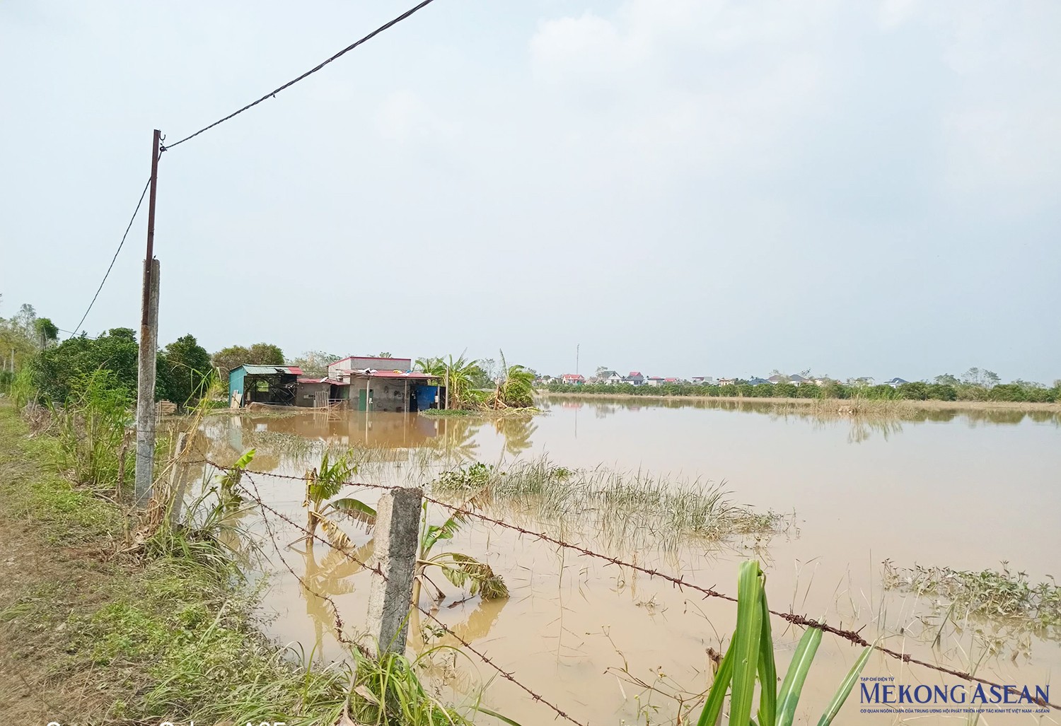 Một góc vùng ngoài đê tại thôn Quang Dực, xã Hồng Phong (huyện Ninh Giang). 