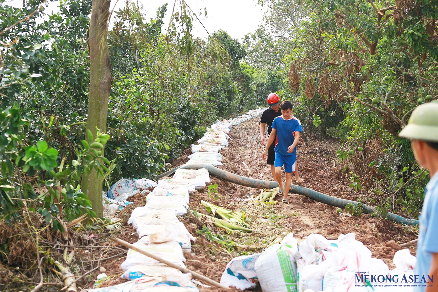 Theo ông Trần Đình Bắc, Chủ tịch UBND xã An Đức (huyện Ninh Giang), gần 1km đê bối tại vùng nuôi thủy sản Bắc sông Cửu An thuộc thôn Trại Mũa (xã An Đức) được chính quyền địa phương cùng các lực lượng chức năng và người dân thực hiện ngày đêm liên tục tại thời điểm nước dâng để phòng nước tràn từ sông Cửu An vào bên trong vùng…