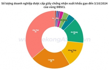 Địa phương nào tại ĐBSCL có nhiều doanh nghiệp xuất khẩu gạo nhất?