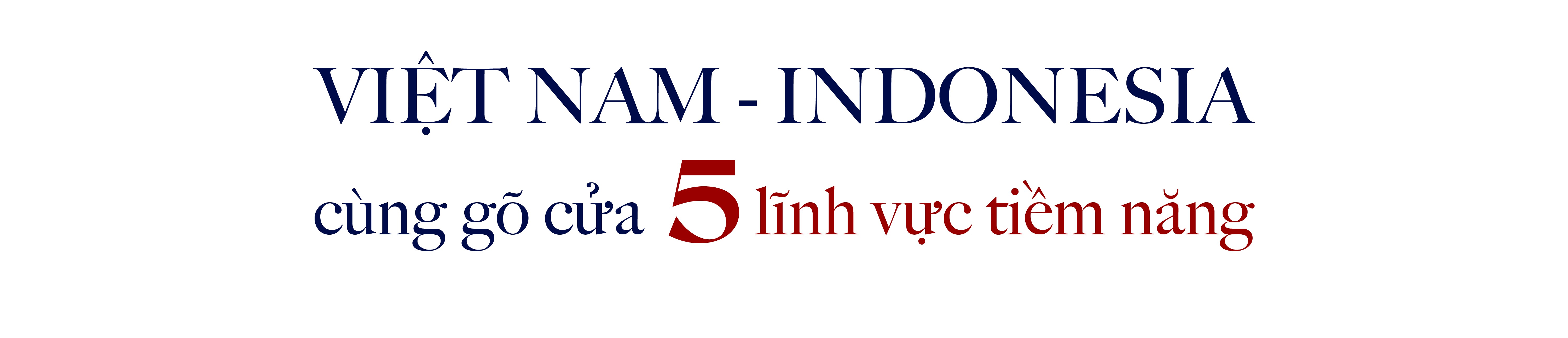 Khai phá tiềm năng hợp tác mới giữa Việt Nam - Indonesia và niềm cảm hứng từ VinFast