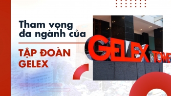 Tham vọng đa ngành của Tập đoàn Gelex