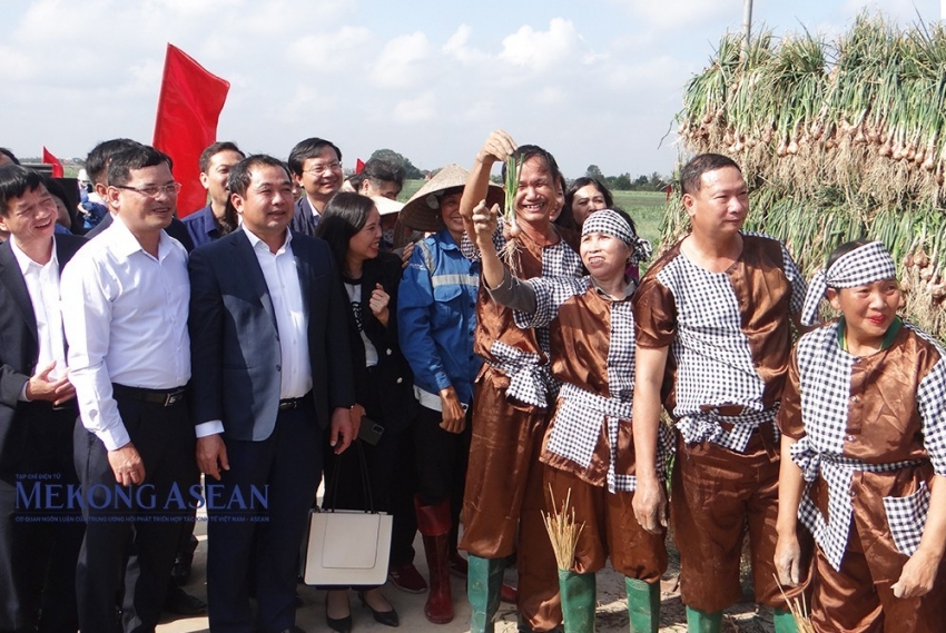 Hành, tỏi Kinh Môn đạt thương hiệu vàng nông nghiệp Việt Nam