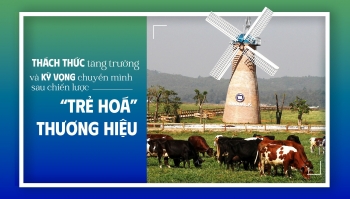 Vinamilk: Thách thức tăng trưởng và kỳ vọng chuyển mình sau chiến lược 'trẻ hoá' thương hiệu