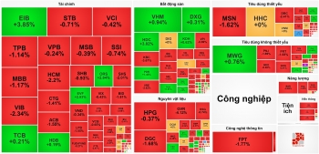 VN-Index rơi gần 10 điểm, cổ phiếu Lộc Trời bị bán tháo