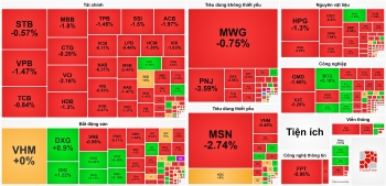 Cổ phiếu VN30 lao dốc, thị trường chứng khoán chìm trong sắc đỏ