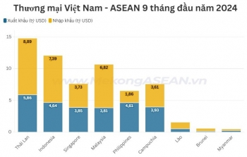 Rau quả là mặt hàng Việt Nam nhập khẩu nhiều nhất từ Myanmar