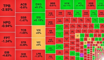 VN-Index mất mốc 1.250 điểm, QCG ngược dòng tăng trần sau lãi đột biến