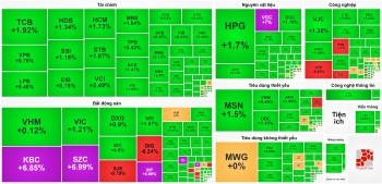 Thị trường hào hứng theo bầu cử Mỹ, VN-Index tăng mạnh nhất sau hơn một tháng