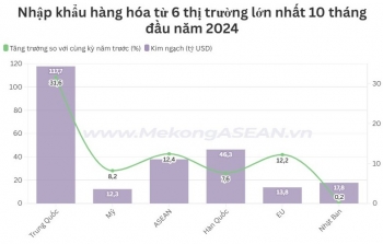 Việt Nam nhập siêu 7,3 tỷ USD từ ASEAN trong 10 tháng