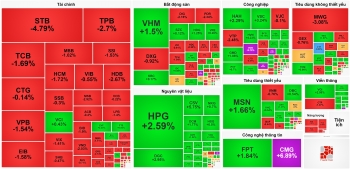 Dòng tiền bắt đáy ‘cứu’ thị trường, VN-Index giữ mốc 1.250 điểm