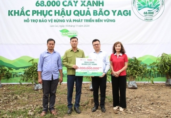 SeABank và Tập đoàn BRG chung tay phủ xanh gần 20ha rừng tại Lào Cai