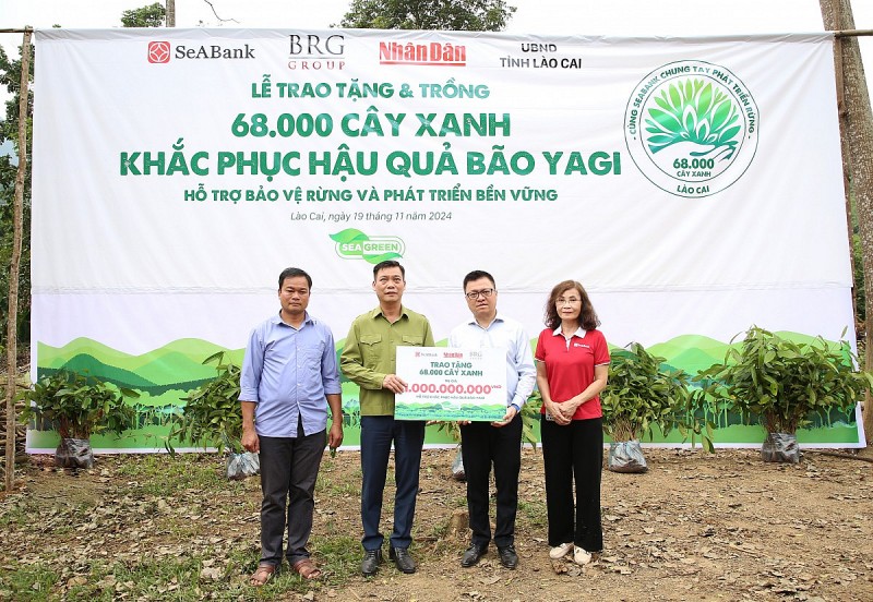 SeABank và Tập đoàn BRG chung tay phủ xanh gần 20ha rừng tại Lào Cai