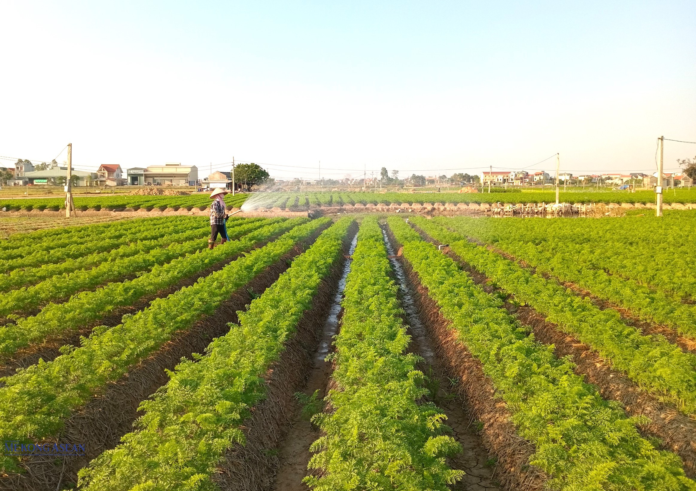 Năm 2024, GRDP của Hải Dương ước tăng 10,02%. Ảnh minh họa/Lâm Phùng. Năm 2024, GRDP của Hải Dương ước tăng 10,02%. Ảnh minh họa/Lâm Phùng.