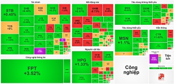 FPT tiếp tục bứt phá, VN-Index chinh phục ngưỡng 1.250 điểm