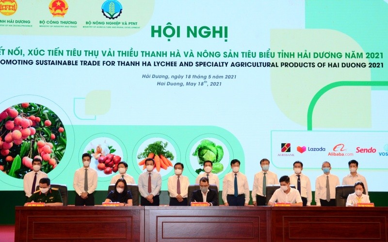 Ảnh minh họa một hội nghị x&uacute;c tiến thương mại