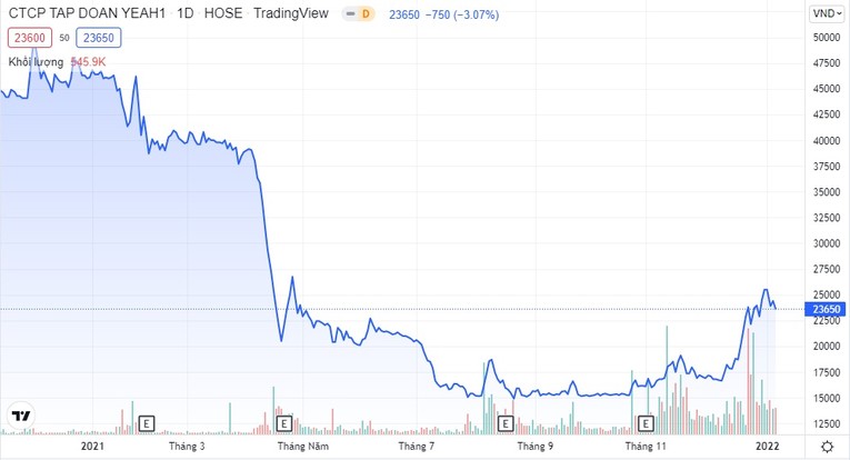 Thị gi&aacute; cổ phiếu YEG giảm mạnh trong năm 2021.