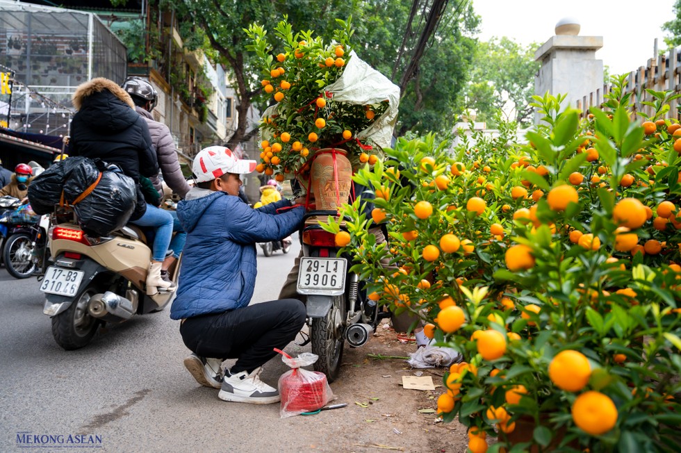 Mặc d&ugrave; s&aacute;t Tết, sức mua tăng, gi&aacute; cả c&aacute;c loại c&acirc;y, hoa năm nay kh&ocirc;ng tăng nhiều so với năm 2022.